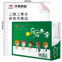 天章 241-2-2-C-S 乐活天章电脑打印纸 彩（1000页/箱）