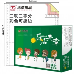 天章 241-3-3-C-S 乐活天章电脑打印纸 彩（1000页/箱）