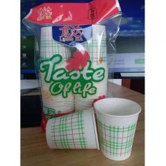 龙达 250ml 纸杯/塑杯 50个/包 40包/箱