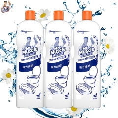 威猛先生 洁厕剂特惠装500g*1瓶 洁厕液厕所卫生间 马桶除垢去渍去异味