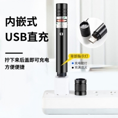 戈途 【售楼沙盘教鞭】USB激光笔激光灯 远射 充电防水红外线手电筒强光大镭射笔功率逗猫天文指星笔 【USB黑色外壳】绿光+1个效果头