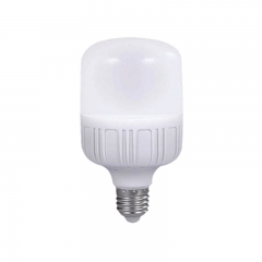 家用亮的灯泡节能亮200瓦led灯泡灯座套装带插头通用E27螺口30W 白