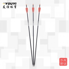 友谊（YOU YI）X10-YYARKT箭 铝碳箭 竞技箭支 黑色 85cm
