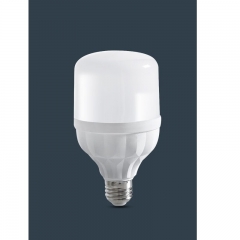 LDE灯泡30W