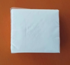 餐巾纸100包/箱