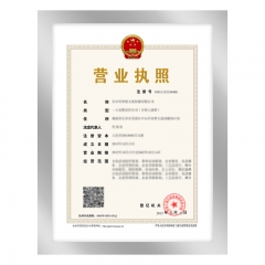 德仕通（dston）磁性展示贴营业执照保护套  A4银色3127（210*297mm）
