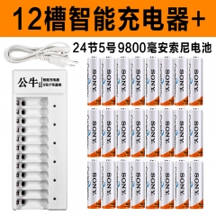 公牛充电电池12槽智能快充+24节5号9800毫安
