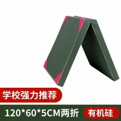 体操垫子 折叠加厚仰卧起坐垫跳高垫训练防护垫 两折国际帆布120*60*5cm绿色