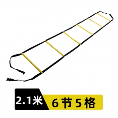固定拼接敏捷梯6节5格2.1米