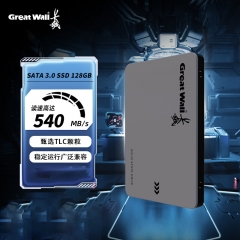 长城（Great Wall）SSD固态硬盘GW560/GW520 2.5英寸SATA3.0接口 台式机/笔记本通用 GW560-128GB（SATA3.0）