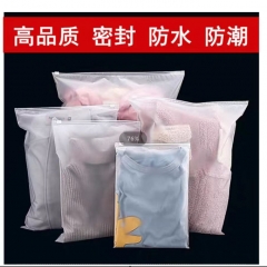 收纳袋家用出差旅游行李分装整理袋套装（大号*10+中号*10）