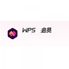 WPS会员 1年