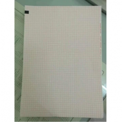 心电图纸