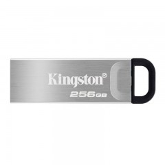 金士顿（Kingston） U盘 256GB DTKN 256GB